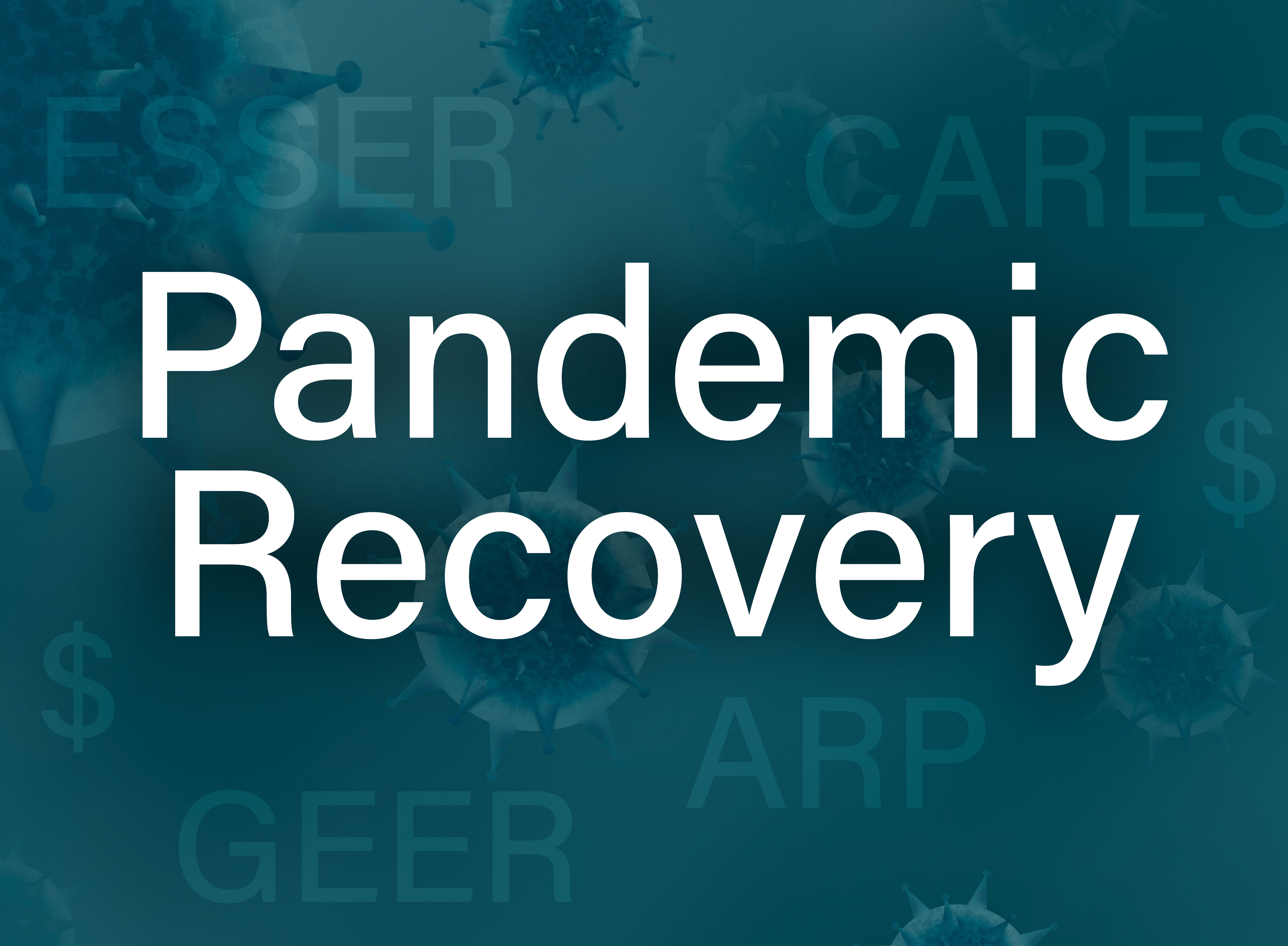 Pandemic Recovery